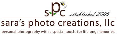 Photographer | Oklahoma City | Newborns, Seniors, Family Pictures Logo
